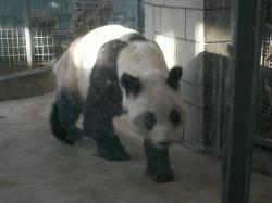 天津動物園