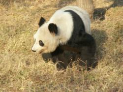 天津動物園