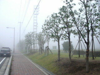 霧03